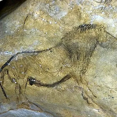 Terranostra 3* Tarascon-sur-Ariège