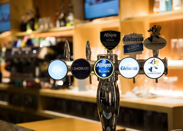 オテル テラノストラ 3* タラスコン・シュル・アリエージュ