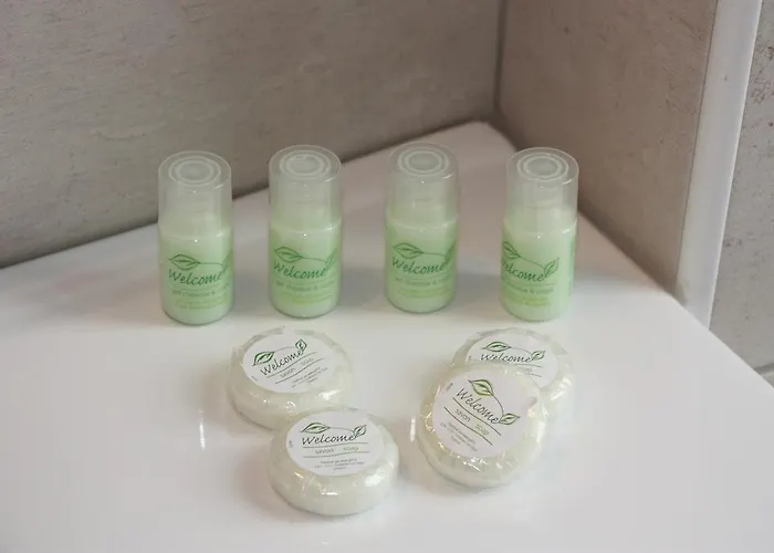 オテル テラノストラ 3* タラスコン・シュル・アリエージュ