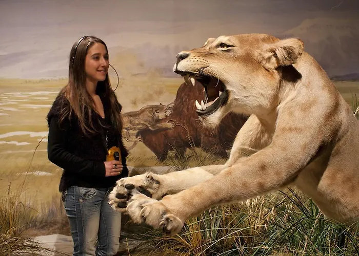 オテル テラノストラ タラスコン・シュル・アリエージュ