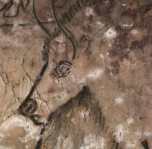 オテル テラノストラ ホテル タラスコン・シュル・アリエージュ